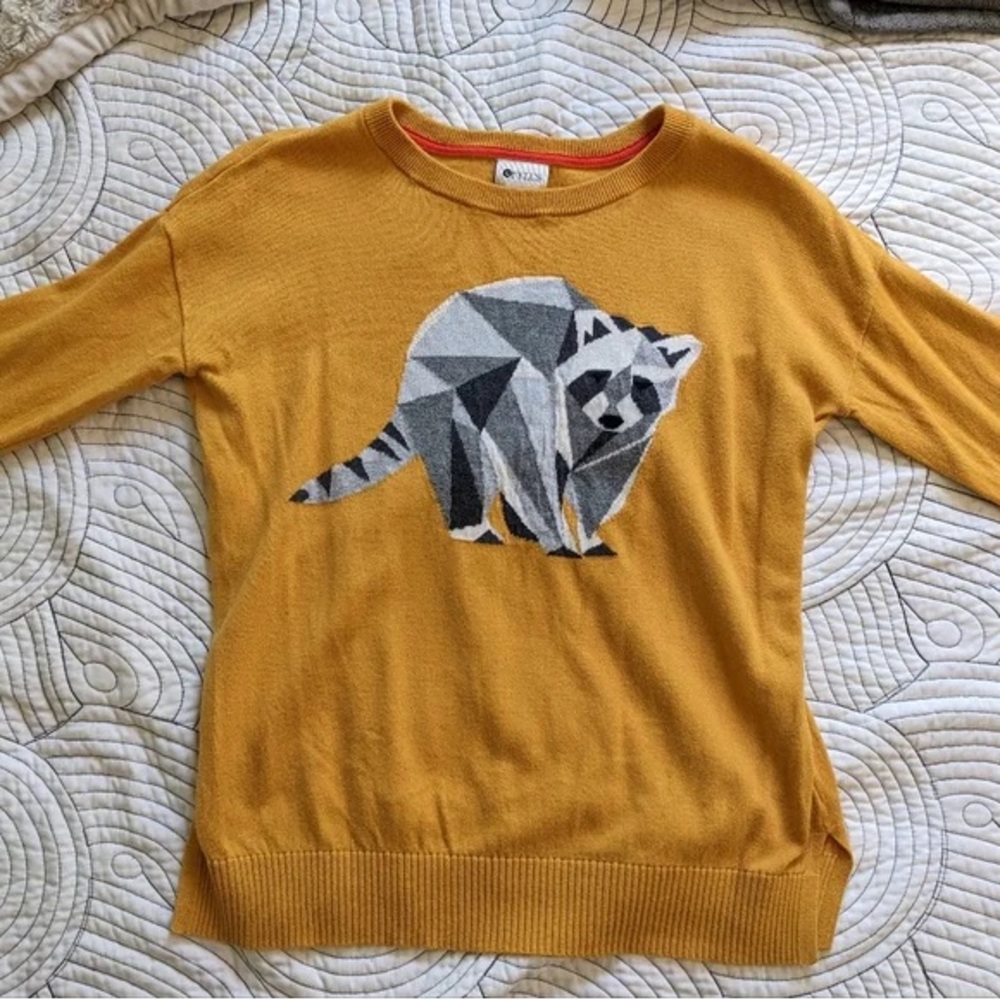 Raccoon Sweater